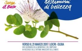 Incontro ass libera verso il 21 marzo